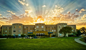 California State University